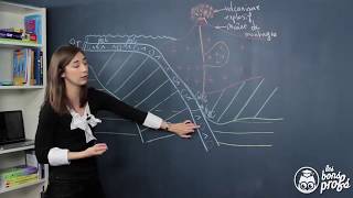 Métamorphisme  SVT  Les Bons Profs [upl. by Teirtza]