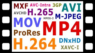 Explaining Digital Video Formats Codecs amp Containers [upl. by Prissy]