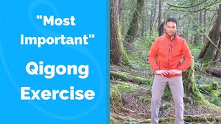 quotMost Importantquot Qigong Exercise for Beginners [upl. by Lasser]