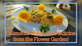 Calendula Description  Edible Flower with Medicinal Benefits [upl. by Virendra162]