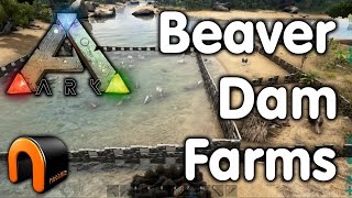 Ark Survival Evolved  BEAVER DAM FARMS Tested [upl. by Otto]