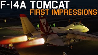 DCS F14A Tomcat First Flight amp First Impressions [upl. by Nahshunn]