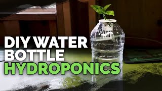 DIY Water Bottle Hydroponic System for Propagating and Herbs [upl. by Harutak164]