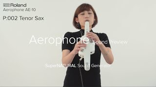 Roland Aerophone AE10 Sound Preview [upl. by Koss126]