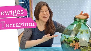 ewiges Terrarium  Flaschengarten anlegen  DIY Florarium  Hermetosphäre  Anleitung  mommymade [upl. by Hadik]