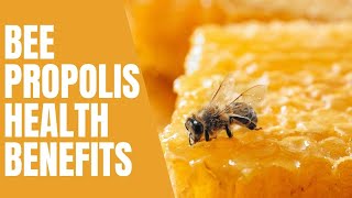 Bee Propolis and its Amazing Health Benefits [upl. by Rena]