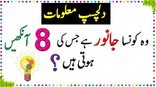 Paheliyan In Urdu  General Knowledge Questions And Answer  Facts About Animal Eyes  2  Sky Ways [upl. by Magdau863]