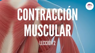 2 CONTRACCIÓN MUSCULAR FISIOLOGÍA MUSCULAR [upl. by Aicilegna]