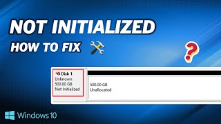 How to Fix External Hard Drive Not Initialized [upl. by Gnes]