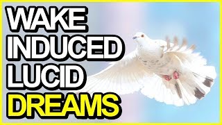 How To Lucid Dream Tonight In 5 Steps Updated WILD Tutorial [upl. by Lallage48]