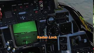 DCSF14B Tomcat  RWR Sounds [upl. by Hasheem883]