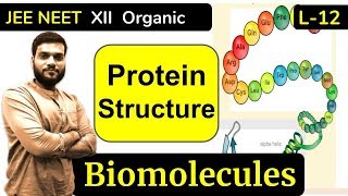 L12 Proteins Structures  Biomolecules  JEE NEET  By Arvind Arora [upl. by Crosley]