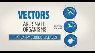 WHO Vector borne disease animation WHD2014 [upl. by Nehte200]