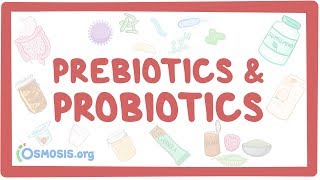 Prebiotics amp probiotics [upl. by Allertse]