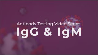 Antibody Testing IgG and IgM explained [upl. by Enneles]