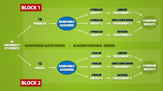 Types of Experimental Designs 33 [upl. by Holton]