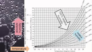 Relative Humidity [upl. by Acireit782]