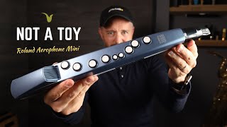 Sax in Your Pocket Roland Aerophone Mini Review [upl. by Sukhum]