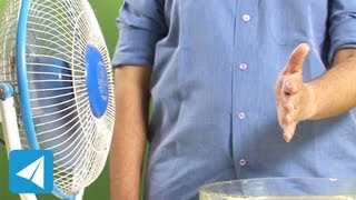 Evaporation causes cooling  Heat  Physics [upl. by Suilenrac643]