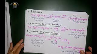 Peptide synthesis [upl. by Emiline235]