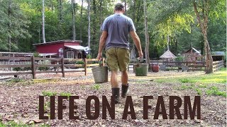 Life On A Farm  Morning amp Evening Chores  Our Daily Homestead Routine [upl. by Tolland409]