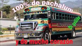 MARIMBA 502 EL TACUAZIN Estreno 2016 [upl. by Carhart465]