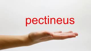 How to Pronounce pectineus  American English [upl. by Aerb]