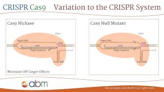 The Science of CRISPR [upl. by Mariellen]