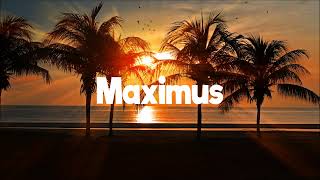 DJ Max  Abalele Remix [upl. by Moulden]