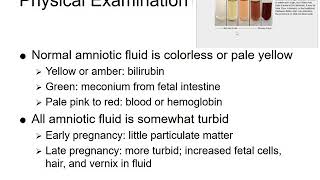 Amniotic fluid embolism [upl. by Barbara]