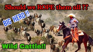 To Many Cattle to Rope [upl. by Zoldi281]