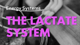 The Lactate System  Energy Systems 03  Anatomy amp Physiology [upl. by Cl]