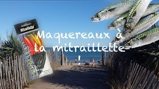 PÊCHE DU MAQUERAUX A LA MITRAILLETTE [upl. by Aramahs]