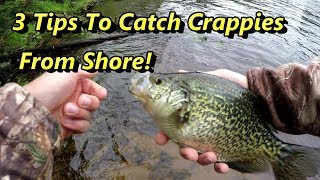 3 Crappie Fishing Tips Guaranteed To Catch Crappies From Shore [upl. by Almena591]