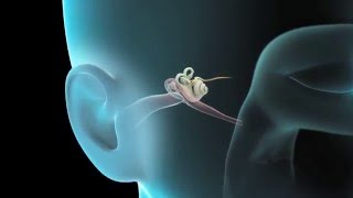 How to manage pitchy sound after ear infection  Dr Sreenivasa Murthy T M [upl. by Pradeep953]