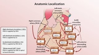 Intro to EKG Interpretation  Myocardial Infarctions Part 1 of 2 [upl. by Tedd]