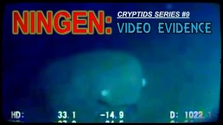 NINGEN video evidence [upl. by Kavanaugh207]