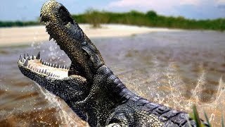 Purussaurus  The Biggest Crocodile That Ever Existed  Documentary EnglishHD [upl. by Wyne]