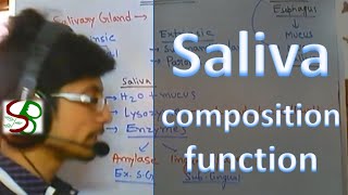 Saliva  enzymes in saliva [upl. by Troyes]