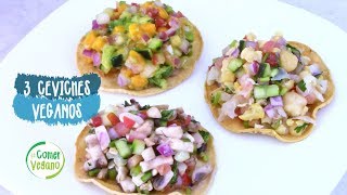 ðŸ‹ CEVICHES FÃCILES Y LIGEROS  Comer Vegano [upl. by Aizahs]