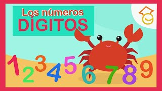 Qué son los NÚMEROS DÍGITOS para NIÑOS de PRIMARIA Aprendamos fácil cuáles son los números dígitos [upl. by Chaiken144]