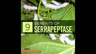 Serrapeptase  serrapeptase benefits  what is serrapeptase  what is serrapeptase good for [upl. by Nykal]