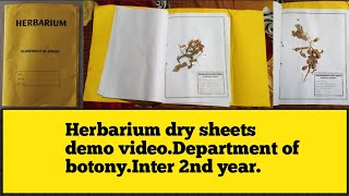 Herbarium  Intermediate 2nd year record  Botany Record collection  Lalitha creative crafts [upl. by Bertasi]