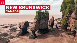 Canada Road Trip Best Things To Do In New Brunswick [upl. by Weinman]