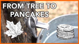 Making Maple Syrup at Home Start to Finish [upl. by Aronos]