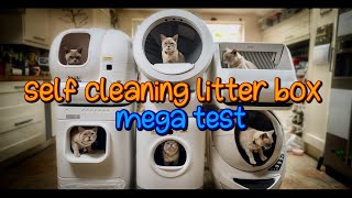 Self Cleaning Litter Box Mega Test LITTERROBOT 4 REVIEW [upl. by Yrreb]