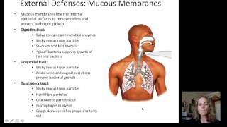 Lecture 19 Immune System [upl. by Valli]