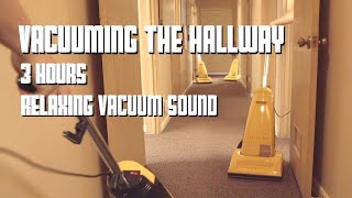 Vacuuming the Hallway 2021  3 Hours Relaxing Vacuum Sound [upl. by Pippa]