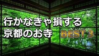 【歴史・庭・風景・ご飯】全て最高のお寺が京都にあります！ [upl. by Boj398]