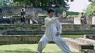 Tai Chi Lessons with Master Jian Liujun [upl. by Isbella]